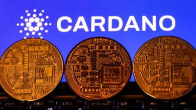 Cardano and its Proof-of-Stake Protocol