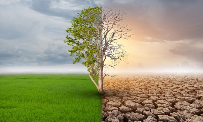 Climate change and environmental conservation