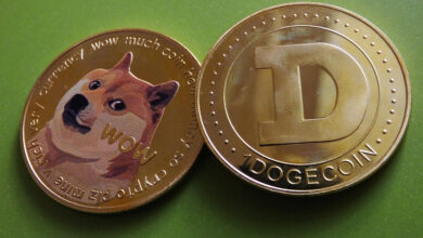 Dogecoin and its Memetic Popularity