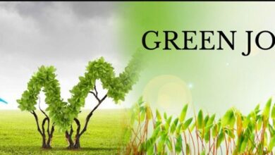 Green Jobs Opportunities and Career Paths in the Environmental Sector
