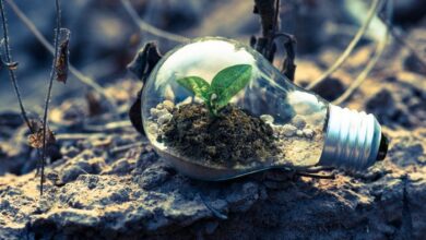 How to Incorporate Sustainable Practices into Your Small Business
