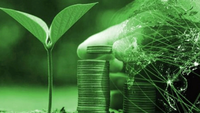 Investing in Green Bonds A Growing Trend for Ethical Investors