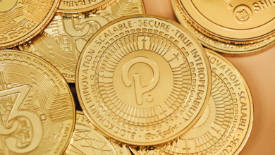 Polkadot and its Interoperability Features