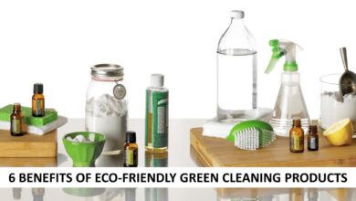 The Benefits of Using Green Cleaning Products in the Industry