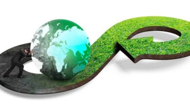 The Circular Economy Moving Away from Waste and towards Sustainability