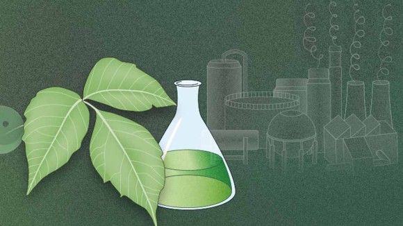 The Potential of Green Chemistry for Reducing Environmental Harm