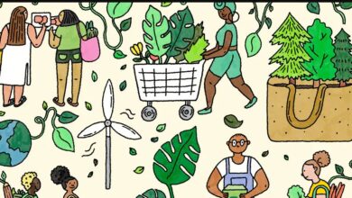 The Rise of Eco-Friendly Food Production and Distribution