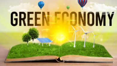 The Role of Government Policies in Promoting a Green Economy
