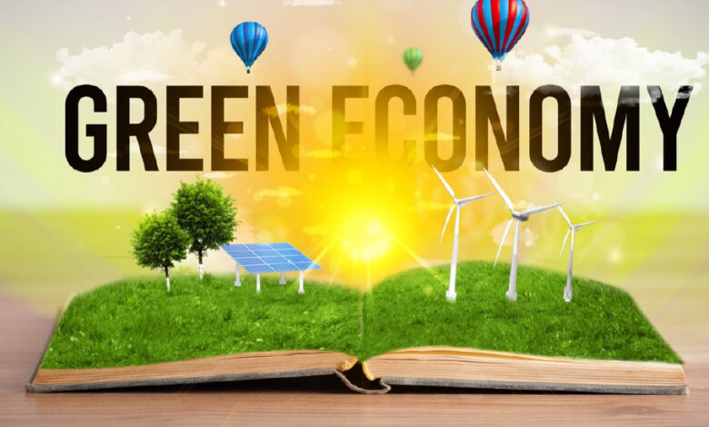 The Role of Government Policies in Promoting a Green Economy