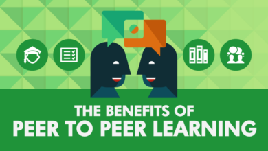 The Role of Peer Learning in Education