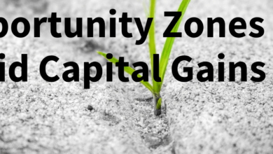 The Growth of Real Estate Investment in Opportunity Zones and Tax Incentives