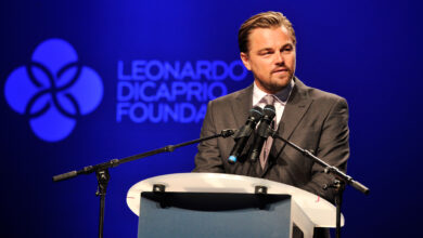 The Leonardo DiCaprio Foundation: Philanthropy and activism