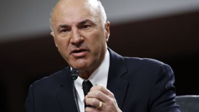 ‘Why Would I Pay These Fees?’: Kevin O’Leary Slams Spot Bitcoin ETFs