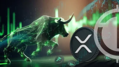Banking Expert Addresses Previous Prediction of $100 to $500 Rally for XRP