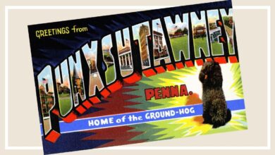 The Punxsutawney Effect: Why a Home Price Surge in Phil’s Hometown Offers Hope for the U.S. Housing Market