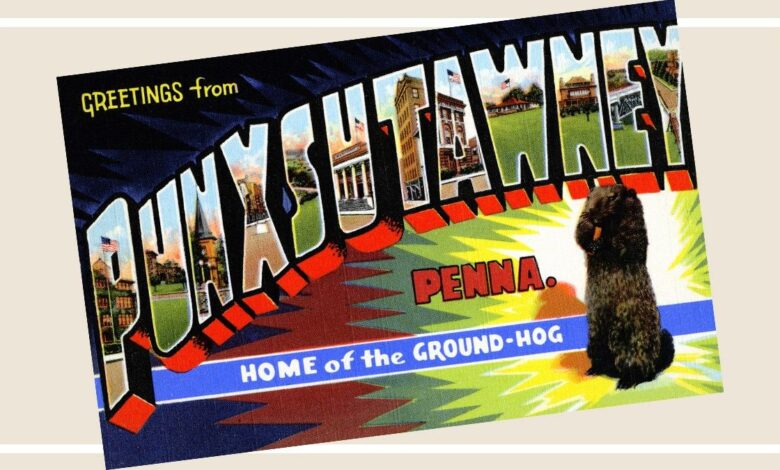 The Punxsutawney Effect: Why a Home Price Surge in Phil’s Hometown Offers Hope for the U.S. Housing Market