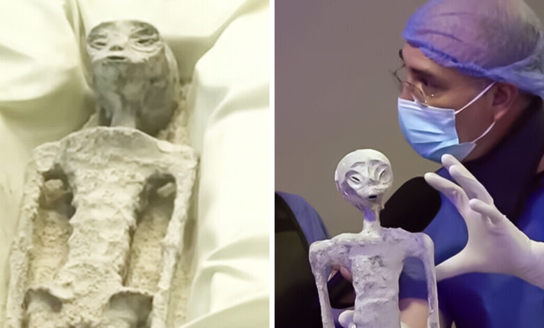 People Found “Alien Mummies” at Peru Airport, But Scientists Just Revealed Something Disturbing
