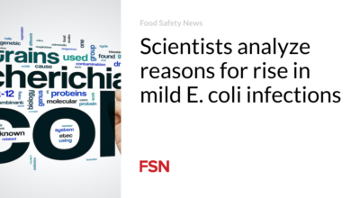 Scientists analyze reasons for rise in mild E. coli infections