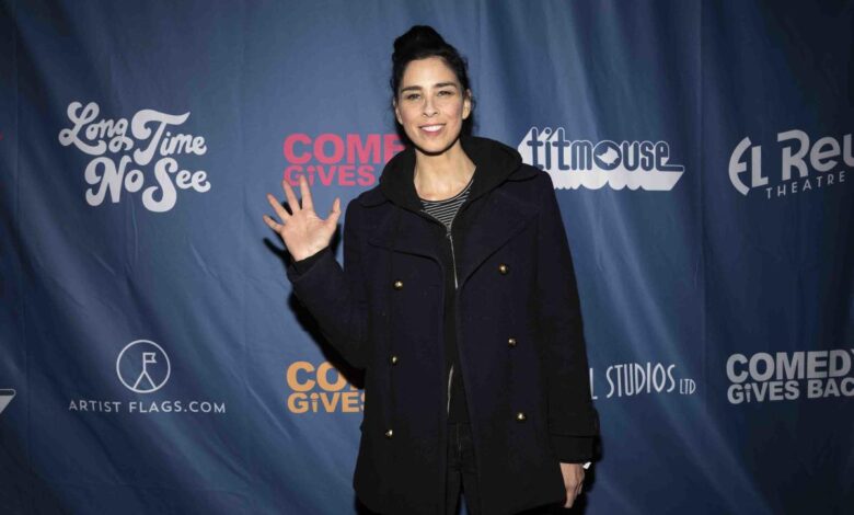 Sarah Silverman’s copyright infringement suit against OpenAI will advance in pared-down form