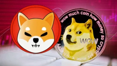 DOGE And SHIB Explore Utility While Scorpion Casino Leads In Crypto Betting Niche; Why Are Utility Tokens Pumping In 2024?  