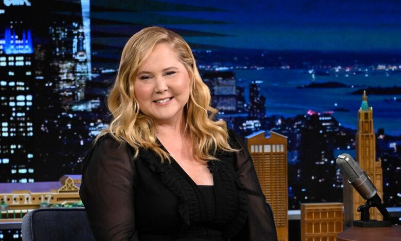 Amy Schumer Diagnosed With Cushing Syndrome Following Fan Discourse on Puffier Face