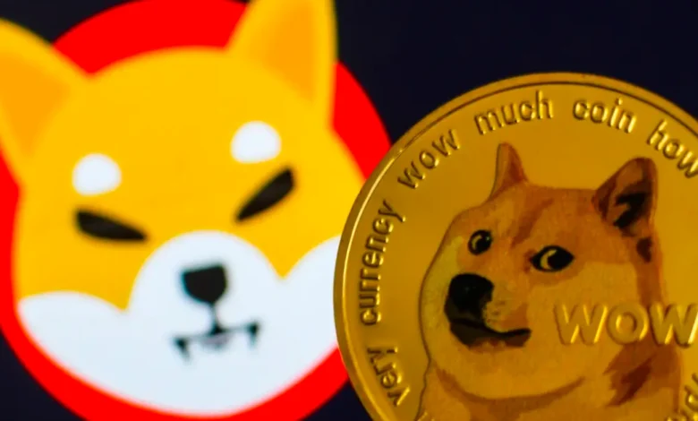 Dogecoin And Shiba Inu Gain Big As On-Chain Metrics Support Momentum: Here Are The Next SHIB And DOGE Price Levels