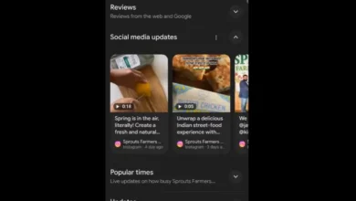 Google Adds Social Media Posts to Business Listings