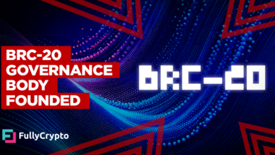 Bitcoin Developers Unite to Create BRC-20 Governance Body