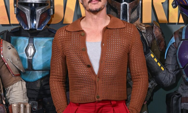 What Is Pedro Pascal’s Hottest TV Role? Let’s Review