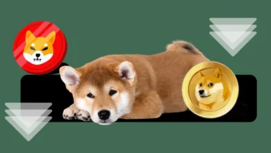 DOGE Price And SHIB Price Continue Bleeding! Are Memecoins Done?