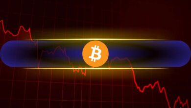 Bitcoin (BTC) Could Witness Further Price Declines if This Happens