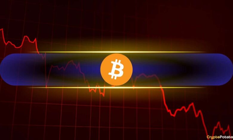 Bitcoin (BTC) Could Witness Further Price Declines if This Happens