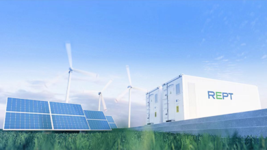 Reaching Ambitious Carbon Goals with Cost-Efficient Energy Storage