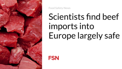 Scientists find beef imports into Europe largely safe