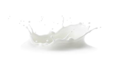 Animal-free dairy seeks EFSA approval: What we know so far