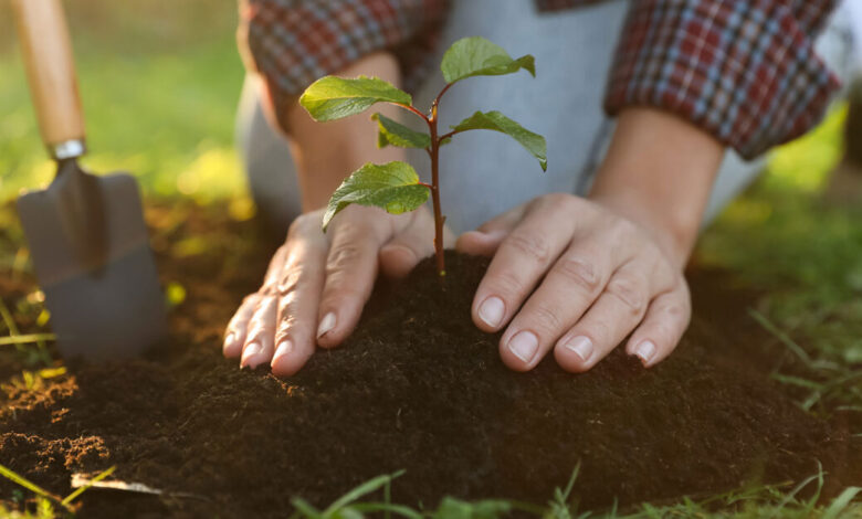 7 Things to Do for Your Community This Earth Month