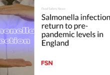 Salmonella infections return to pre-pandemic levels in England