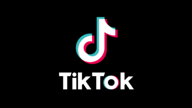 U.S. House of Reps Pass New Bill That Bundles TikTok Ban and Foreign Aid