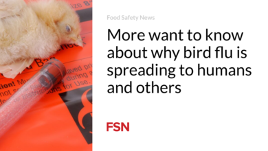 More want to know about why bird flu is spreading to humans and others