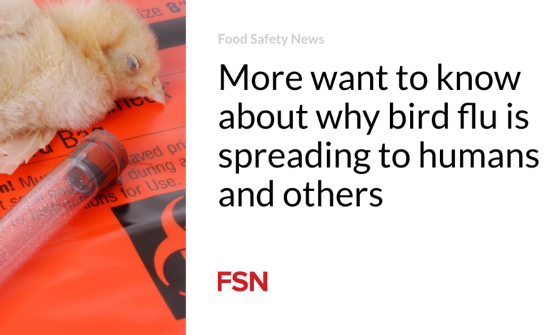 More want to know about why bird flu is spreading to humans and others