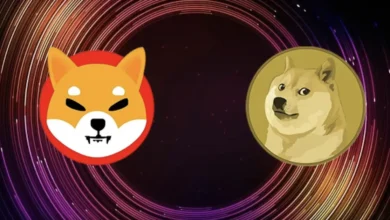 Shiba Inu And Dogecoin Prices Face a Rising Bearish Threat: Can Bulls Defend Support Levels?