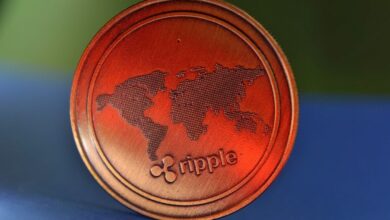 Ripple vs. SEC Lawsuit: The Latest Developments and Outcomes