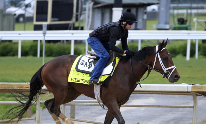 Kentucky Derby 2024 Contenders: Final Vegas Odds and Projections for Top Horses