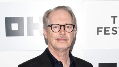 Steve Buscemi OK Following Random Attack in New York