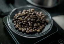 FREE! Exploring the Spectrum of Coffee Roasts