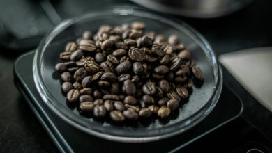 FREE! Exploring the Spectrum of Coffee Roasts