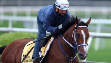 Looking to place a wager on the Preakness? Here’s how to become a savvy bettor.