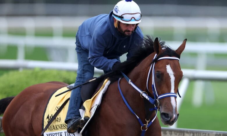 Looking to place a wager on the Preakness? Here’s how to become a savvy bettor.