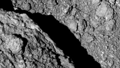 How the perils of space have affected asteroid Ryugu