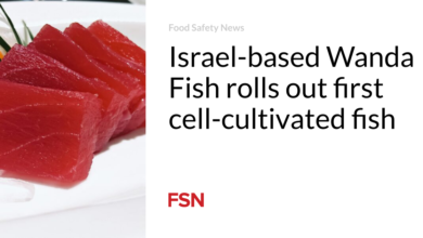 Israel-based Wanda Fish rolls out first cell-cultivated fish